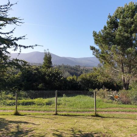 Elephant Country Guest House The Crags Exterior foto