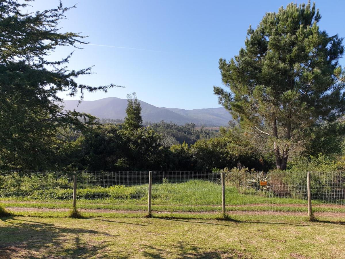 Elephant Country Guest House The Crags Exterior foto