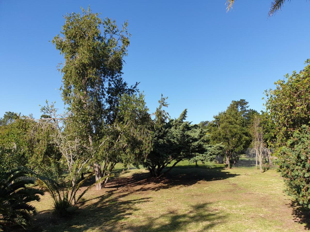 Elephant Country Guest House The Crags Exterior foto